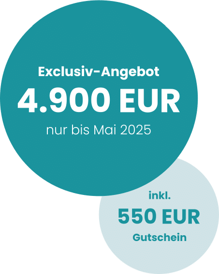 Merason_Reuss_Angebot_05_2025